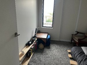 IMG_2435 2