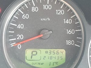 1000067560