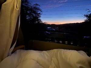 IMG_8541