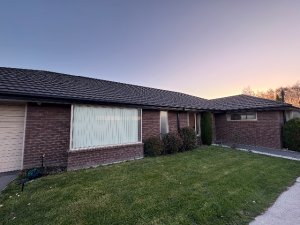IMG_2522
