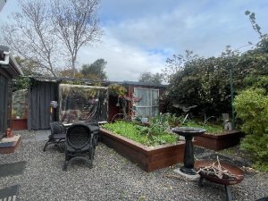IMG_8698
