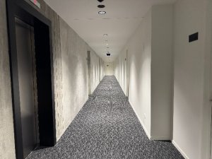 IMG_6234