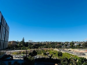 IMG_6245