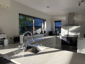 IMG_7593