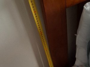 1000043319