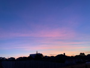IMG_3429