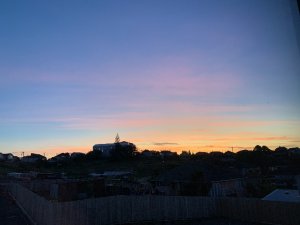 IMG_3431