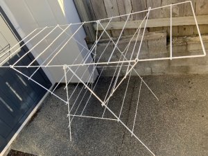 IMG_4394