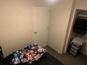 IMG_3392