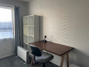 IMG_8272