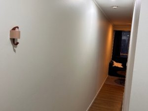 IMG_1090