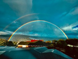 IMG_2558