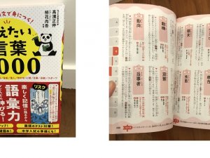 Japan book others1