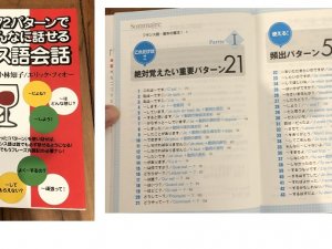 Japan book others2
