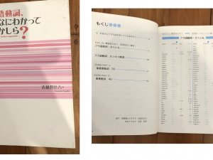 Japan book others4