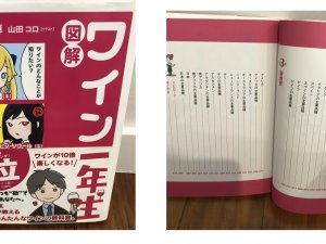 Japan book others5