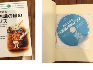 Japan book others8