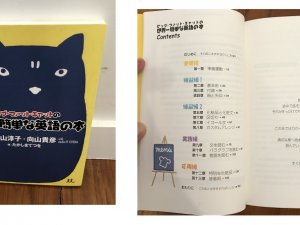 Japan book others9