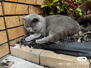IMG_3246