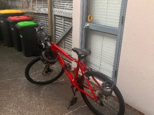 IMG_3779
