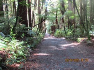 IMG_1009