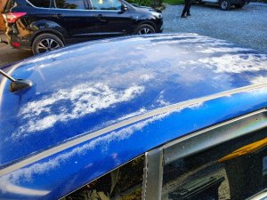 IMG_20260610_105629319_HDR_AE