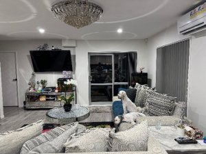 IMG_3436