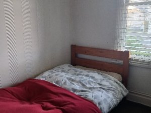 Single room for rent in Devonport