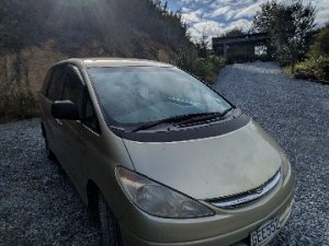 1000009313