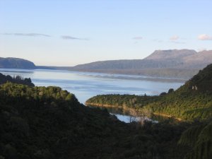 IMG_0660