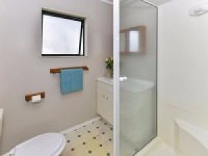 Insite Toilet