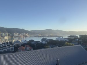 IMG_5365