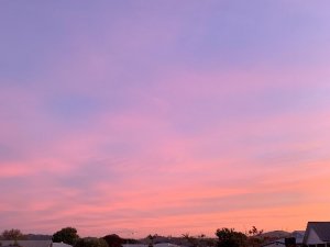 IMG_4613