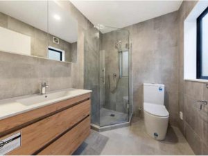Downstairs Master bathroom