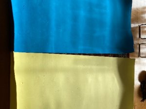 IMG_5564
