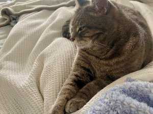 IMG_0729