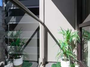 IMG_7056