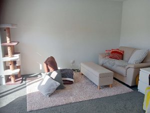 IMG20260428130317-1