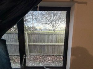 IMG_0285