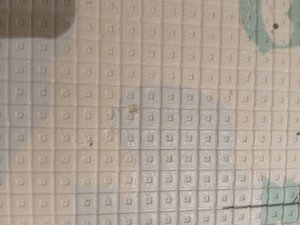 1000008447