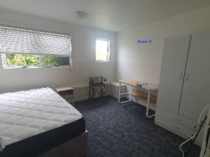 Room 5