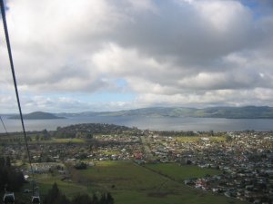 IMG_0671 - Copy