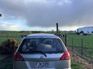 IMG_0508