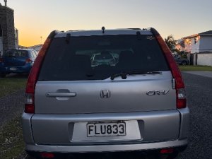 IMG_8494