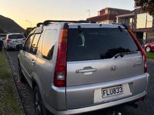 IMG_8495