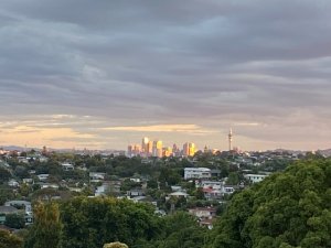 IMG_6509