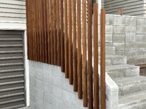 IMG_0599