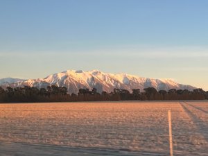 IMG_6282