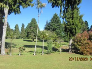 IMG_0002 (8)