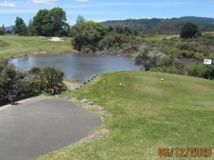 IMG_0005 (5)